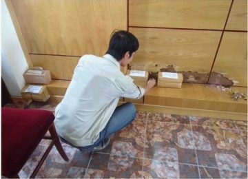 Công ty diệt mối tại Bình Dương