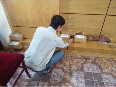 Công ty diệt mối tại Bình Dương