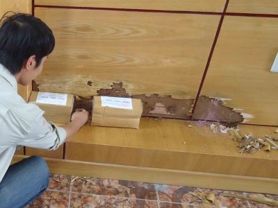 Diệt Mối Tận Gốc Tại Bình Dương
